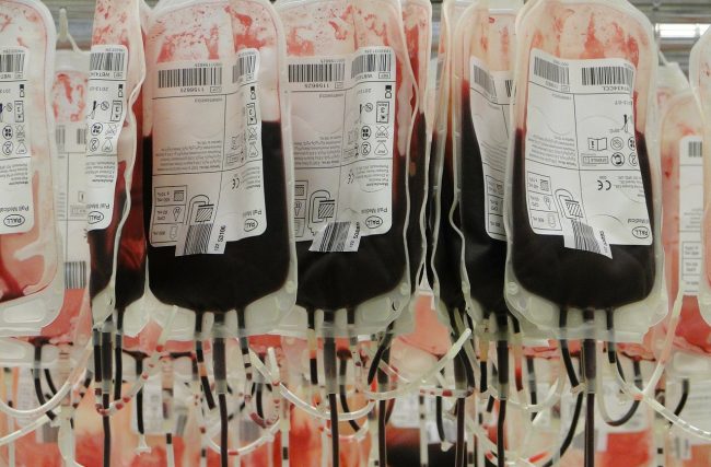 Dia do Doador: uso do sangue na odontologia